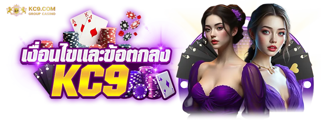 เงื่อนไขเเละข้อตกลง